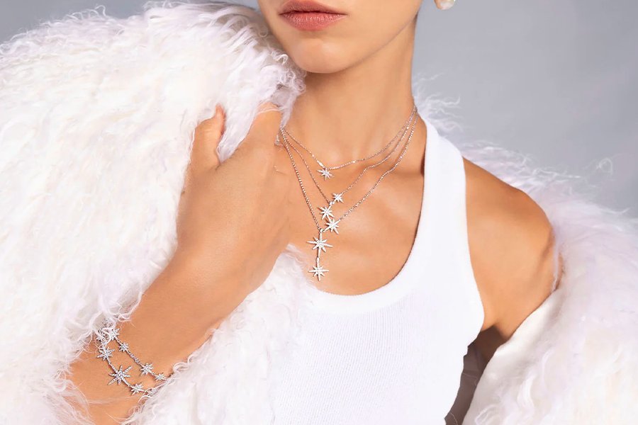 apm MONACO Collection Météorites